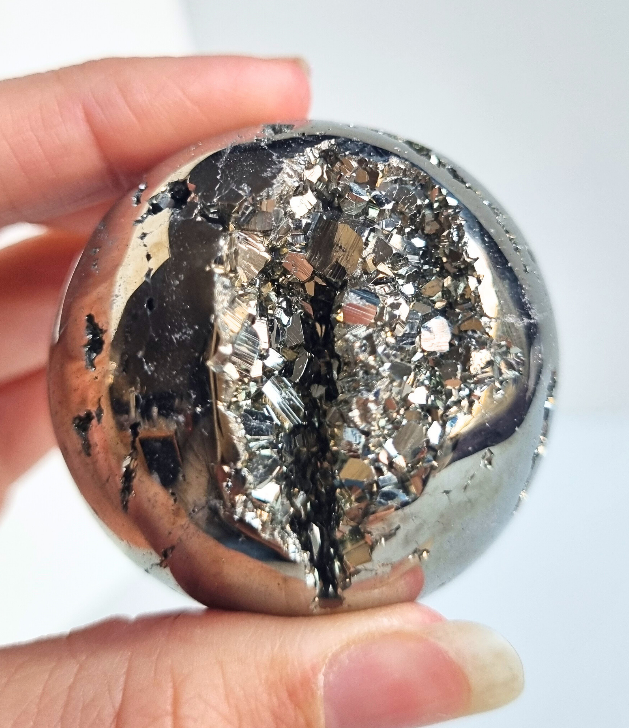 Bollen