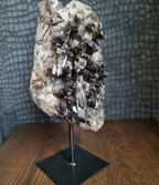 Rookkwarts op standaard