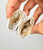 Agaat geode paartjes #6