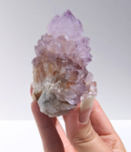 Raw cactus spirit amethyst