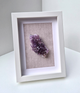 Raw cactus spirit amethyst