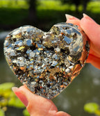 Pyriet hart