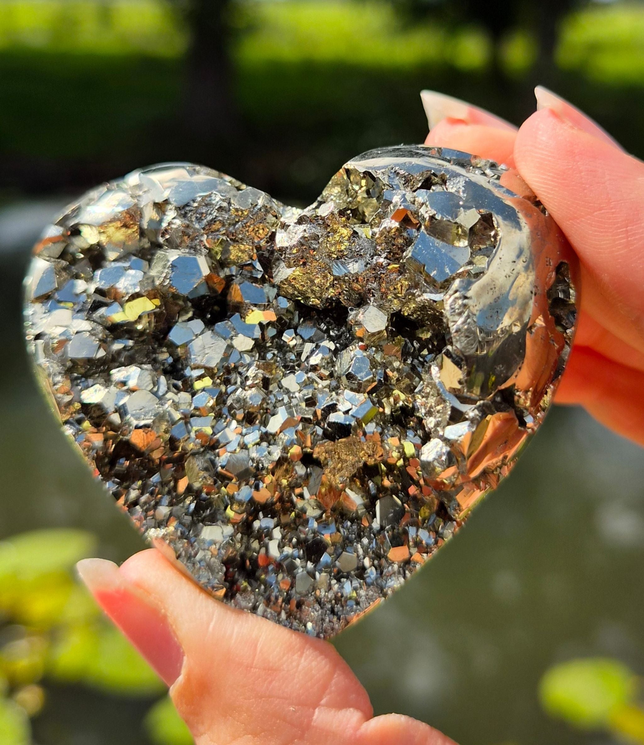 Pyriet hart