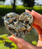 Pyriet hart