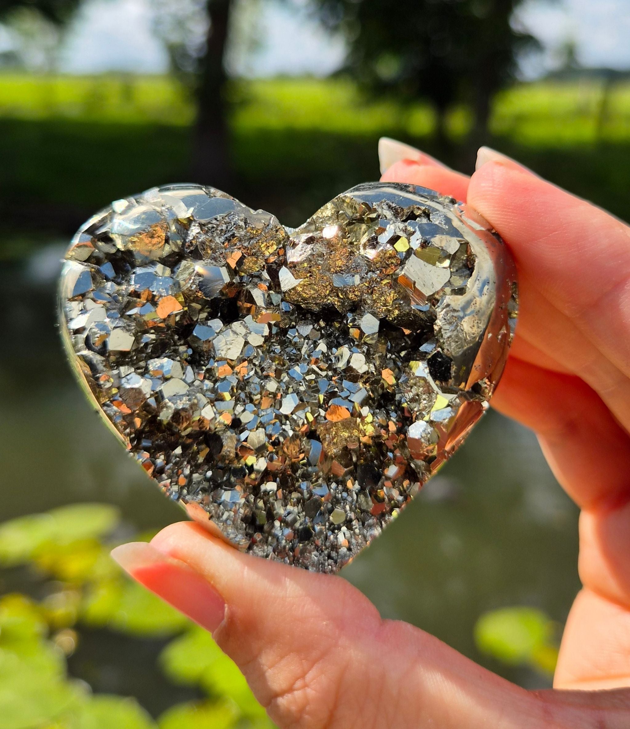 Pyriet hart
