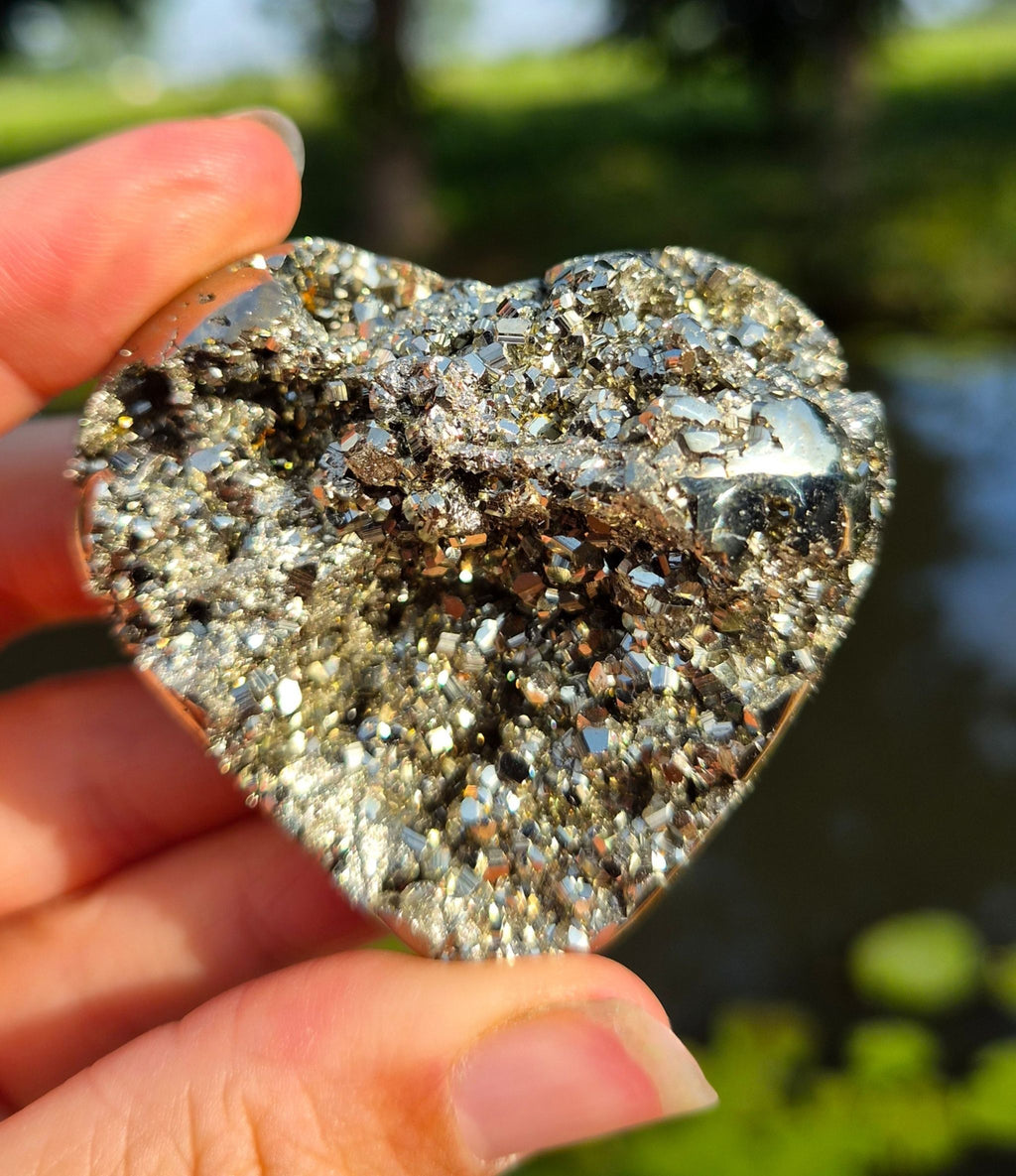 Pyriet hart