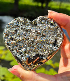 Pyriet hart