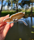 Papillon en agate