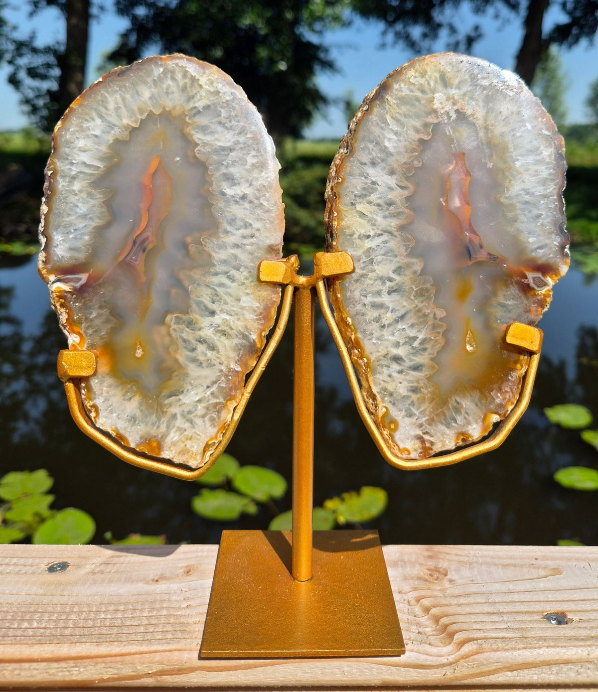 Achat-Schmetterling auf Ständer