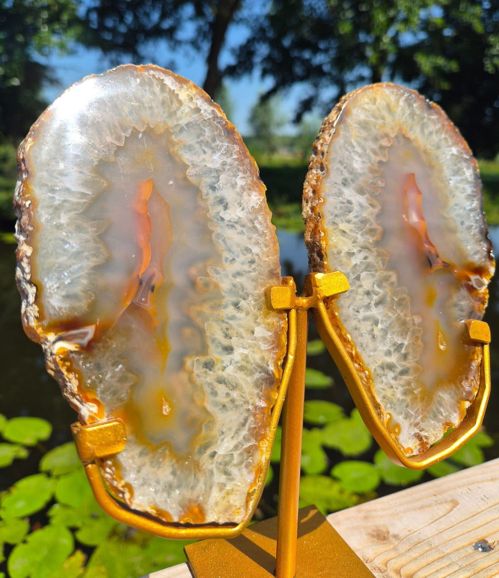Achat-Schmetterling auf Ständer