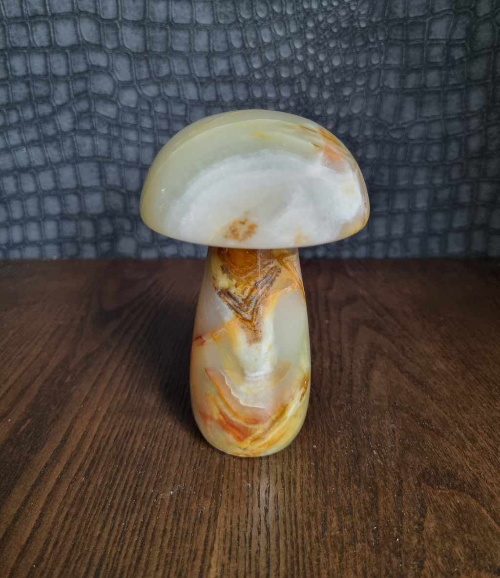 Onyx paddenstoel