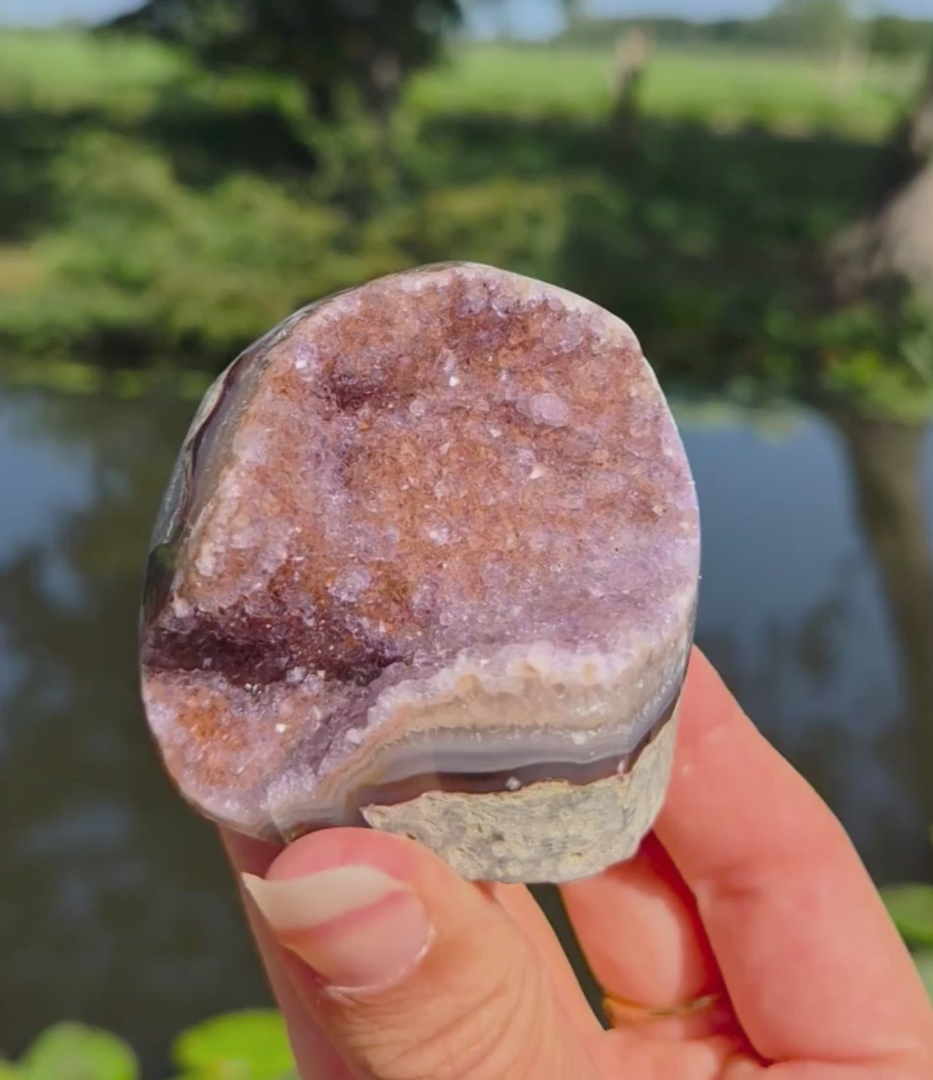 Sugar amethist