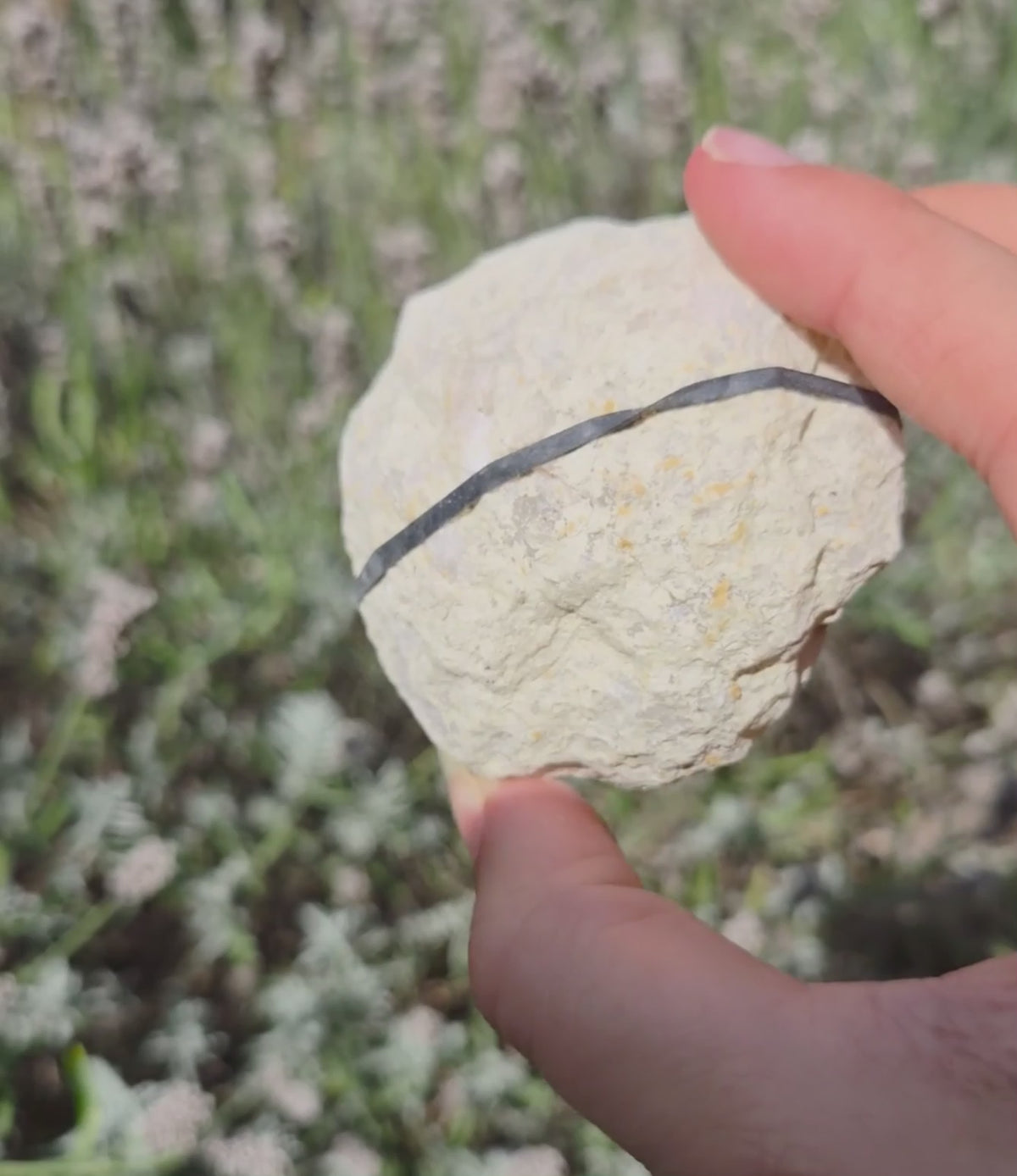 Moroccan geode no. 4