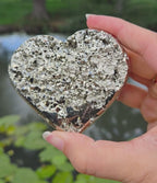 Pyriet hart