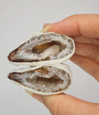 Agaat geode paartjes #1