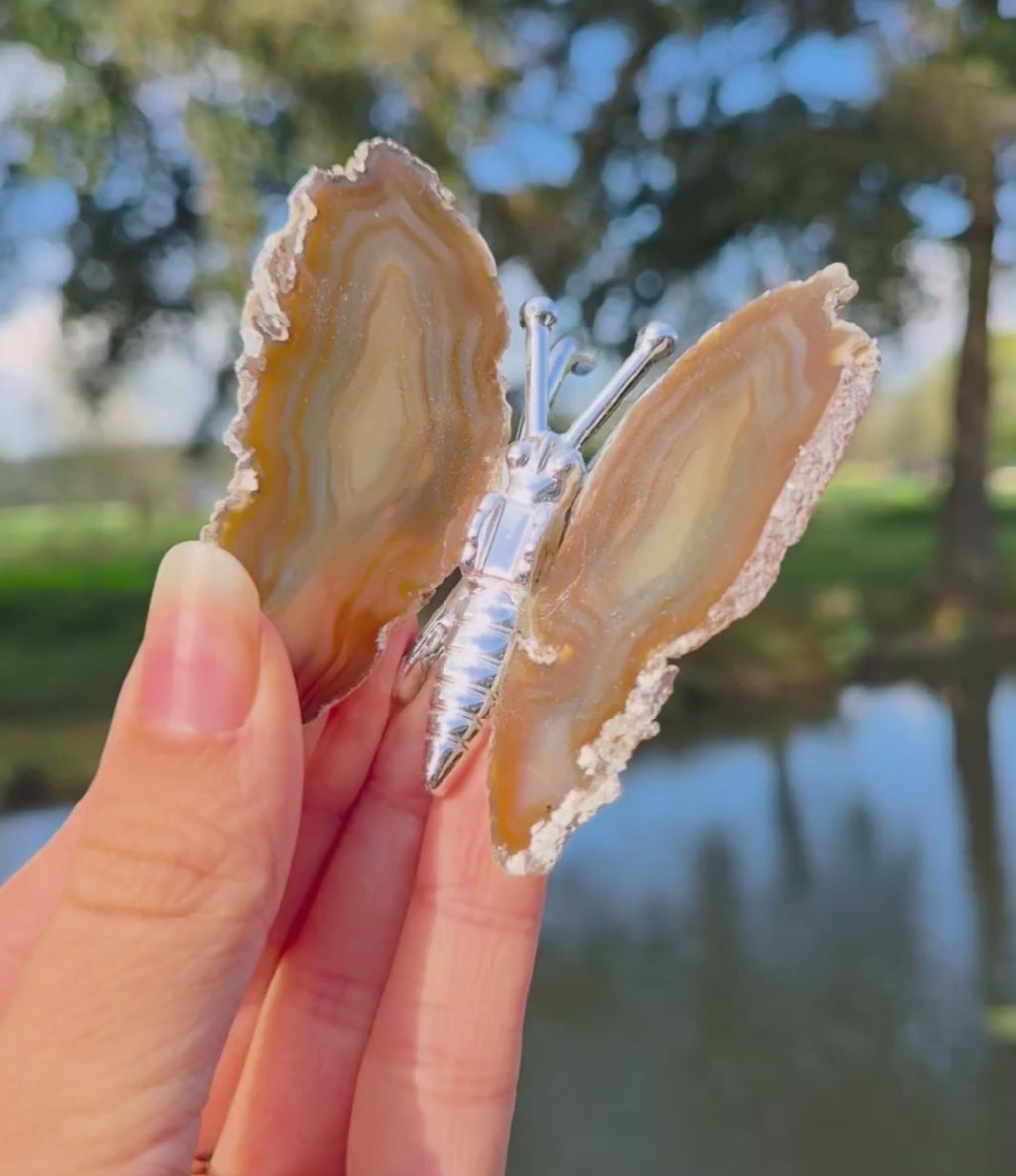 Papillon en agate