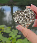 Pyriet hart
