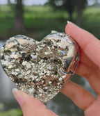 Pyriet hart