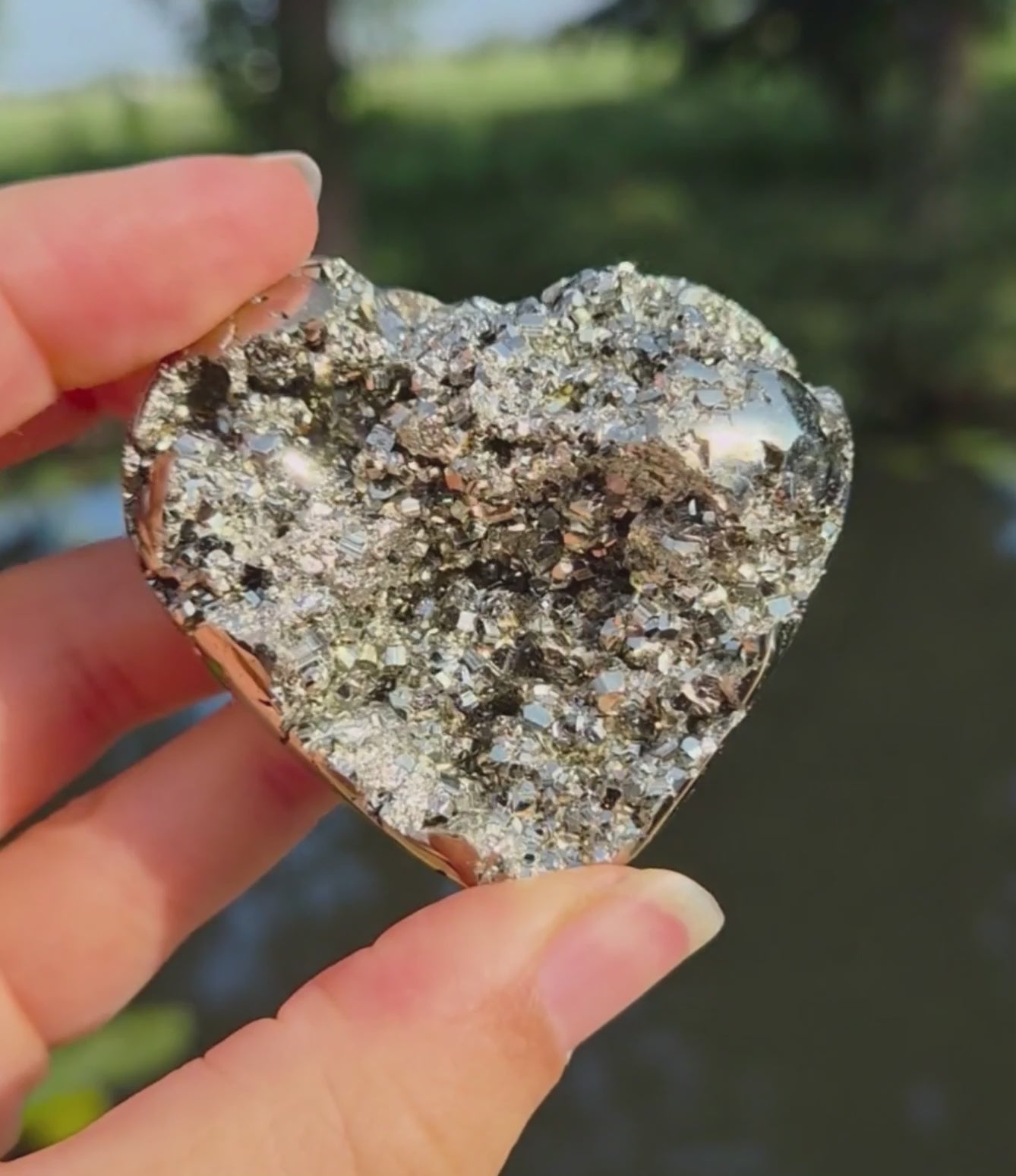 Pyriet hart