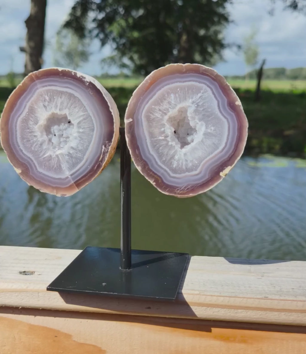 Agaat vlinder op standaard