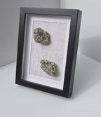 Raw cactus spirit amethyst